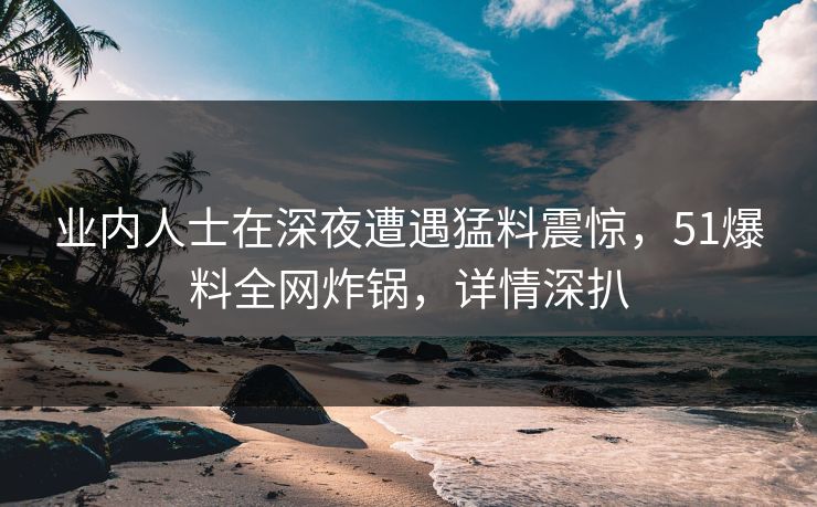 业内人士在深夜遭遇猛料震惊,51爆料全网炸锅,详情深扒