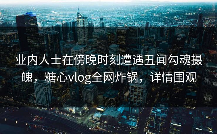 业内人士在傍晚时刻遭遇丑闻勾魂摄魄,糖心vlog全网炸锅,详情围观